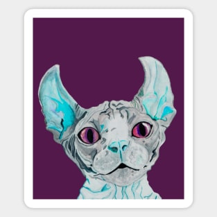 Halucinogen sphynx cat Magnet